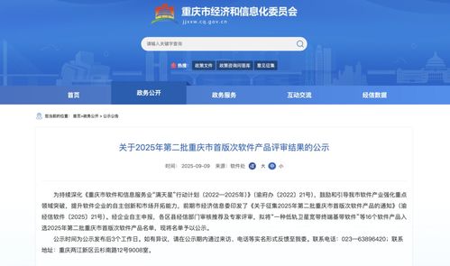 2025年第二批重慶市首版次軟件產(chǎn)品名單公示，引領(lǐng)行業(yè)創(chuàng)新與發(fā)展