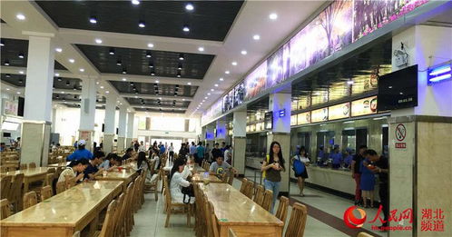 武漢首創高校食品藥品工作站，為師生筑牢“舌尖上的安全防線”